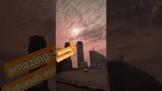 #shortvideo #amazingcapture #videoamazing