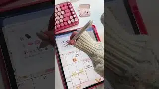 December this year is included in the 2025 planners!📒 | 🎀 2025 ipad planner | #ipad #goodnotes