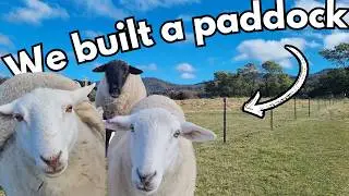 How to Build a Paddock Farm Fence | Step-by-Step DIY Guide