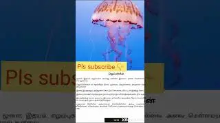 #sciencefacts #sciencefactsforkids #insectfacts ##sciencefactstamil #trending #shortsfeed #jellyfish