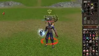 Pet gardian tip 6,crafturi si plusuri | Metin2ro Romania