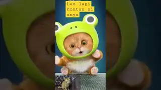 kucing aku namanya leo suka nonton ini gays #funny #shortvideo