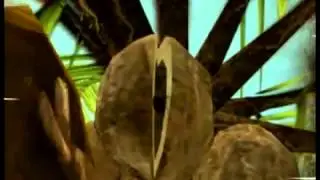 Gooka   The Mystery of Janatris   PC   Commercial  Trailer   2004   Cenega Publishing
