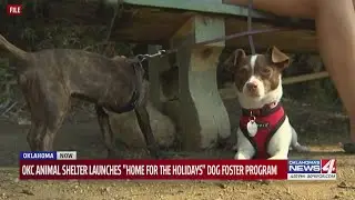 OKC Animal Shelter launches 