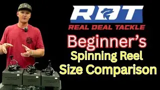 Spinning Reel Size Comparison (For Beginners)