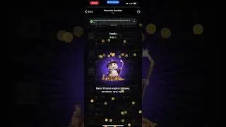Хамстер Комбат комбо карты 6 июня! Combo Hamster Kombat
