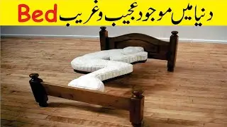Awesome and Unique Bed Design | Fetal Position Bed