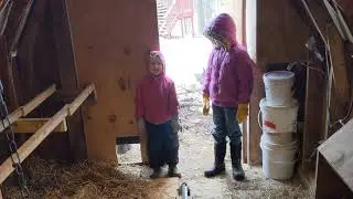 Chicken Coop Cleaning Part 2