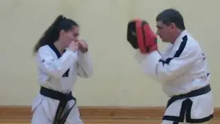 Basic hand strikes and axe kick