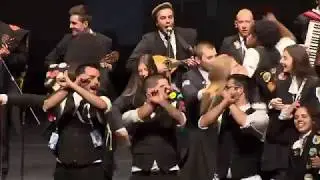 Grupo Académico Seistetos - Palmadas (XX FITAB)