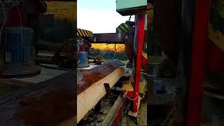 Amazing Fastest Large Wood Sawmill Machine Working- Woodworking Processing Factory Modern Technology