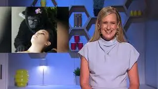 Worldwide Wellness: A new era of animal facials, womb rooms and gorilla massages