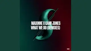 What We Do (Shane Fernandes Remix)