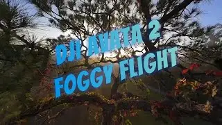 DJI Avata 2 FPV Sunrise | Manual Mode + Gyroflow Horizon Lock