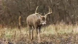 Iowa BIG BUCK COUNTRY Archery Deer Hunting - Outdoor Secrets 2015 Show 8