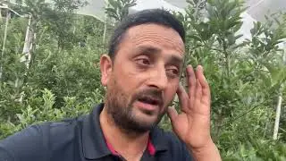HMO की सपरे कब करे 80%  किसानो को नई पता