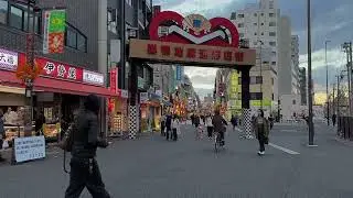 巢鴨, 豐島區, 東京. November 18, 2025. (Apple iPhone 14 Pro Video)