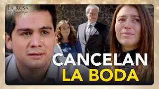 Amanda tiene VIH y sus suegros CANCELAN la boda por miedo a un CONTAGIO |MI PROPIA FAMILIA 2/4 |LRDG