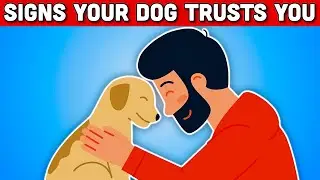 5 SIGNS YOUR DOG TRUSTS YOU