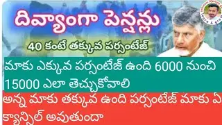 పెద్ద గుడ్ న్యూస్ 🔥 దివ్యాంగులకు ₹15,000 పెన్షన్ | పూర్తి వివరాలు తెలుగులో
