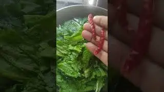 lai saag #boil #recipe  #cooking #short