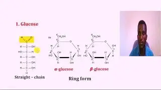 general biology freshman course chapter two macromolecuels,carbohydrate,liped,nuclicacid and protins