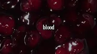 cherry blood || lyrics || miss cherry delight