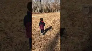 A walk at flanner&rsquo;s beach. Winter 2017