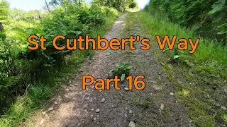 St Cuthbert's Way (4k) Step by Step - Part 16 - Hethpool to Yeavering Bell - ASMR Walking