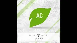 SlanG  - Artist Choice 060 (6th Selection) (Continuous DJ Mix)