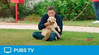 Assurance chiens et chats - spot TV Matmut