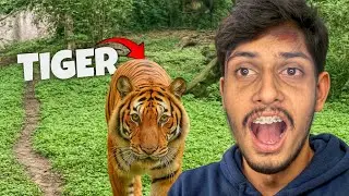 Itna kareeb tiger ?! 😱🐅🔥Aaj Tak aisa kabhi nahi dekha 