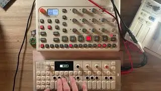 litmus test - model samples and OP1 field
