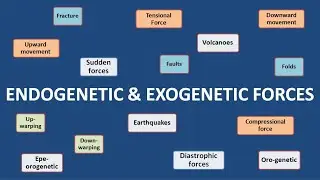 ENDOGENETIC & EXOGENETIC FORCES