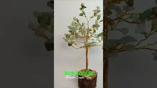 🌳 Root Yourself in Peace & Growth 🌳