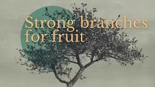 Strong branches for fruit