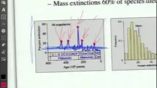 extinction