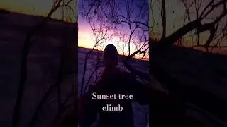 sunset tree climb #sunset #tree #climbing #2055sleepyhallow #fyp