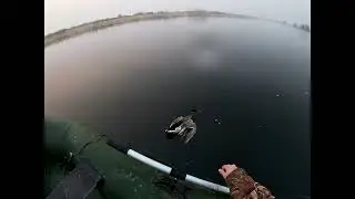 Весенняя охота с подсадной уткой (2024 - 1). Spring hunting with a decoy duck