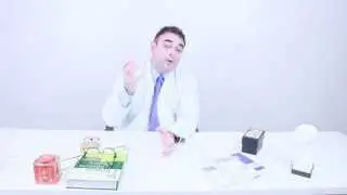Gui Pi Tang - Dr. Carlos Llopis