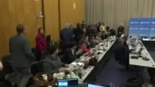 WHO delays decision on China virus outbreak