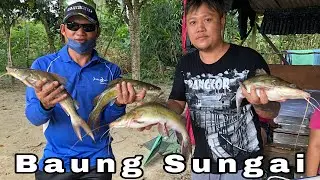 Kawan Hantar Ikan Baung Sungai Segar,Satu Box Besar,Semua Orang Berebut Untuk Beli.