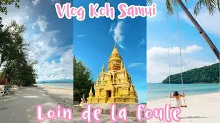 KOH SAMUI hors des sentiers battus : l’île comme vous ne l’avez VUE ! #thailandvlog