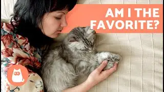 Why Do CATS Choose a PERSON to SLEEP With? 🐱