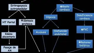 Hidrops fetal