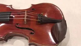 Guarnerius Violin