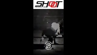 Discover the Origins of MMA The Science Behind Scientific Wrestling #ScientificWrestling #shorts