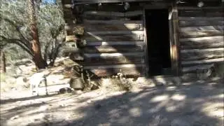 Coon Creek Camping