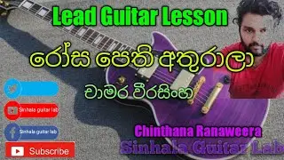Sinhala Guitar Lessons Rosa pethi athurala chamara weerasinghe