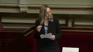 Safe Patient Care (Nurse to Patient and Midwife to Patient Ratios) Amendment Bill 2025